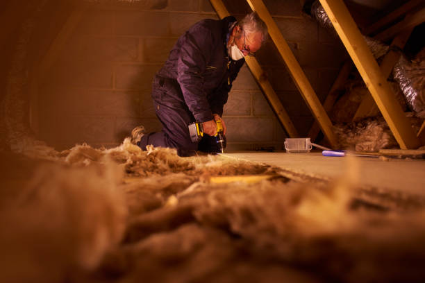 Best Insulation Replacement Services  in Carthage, MS